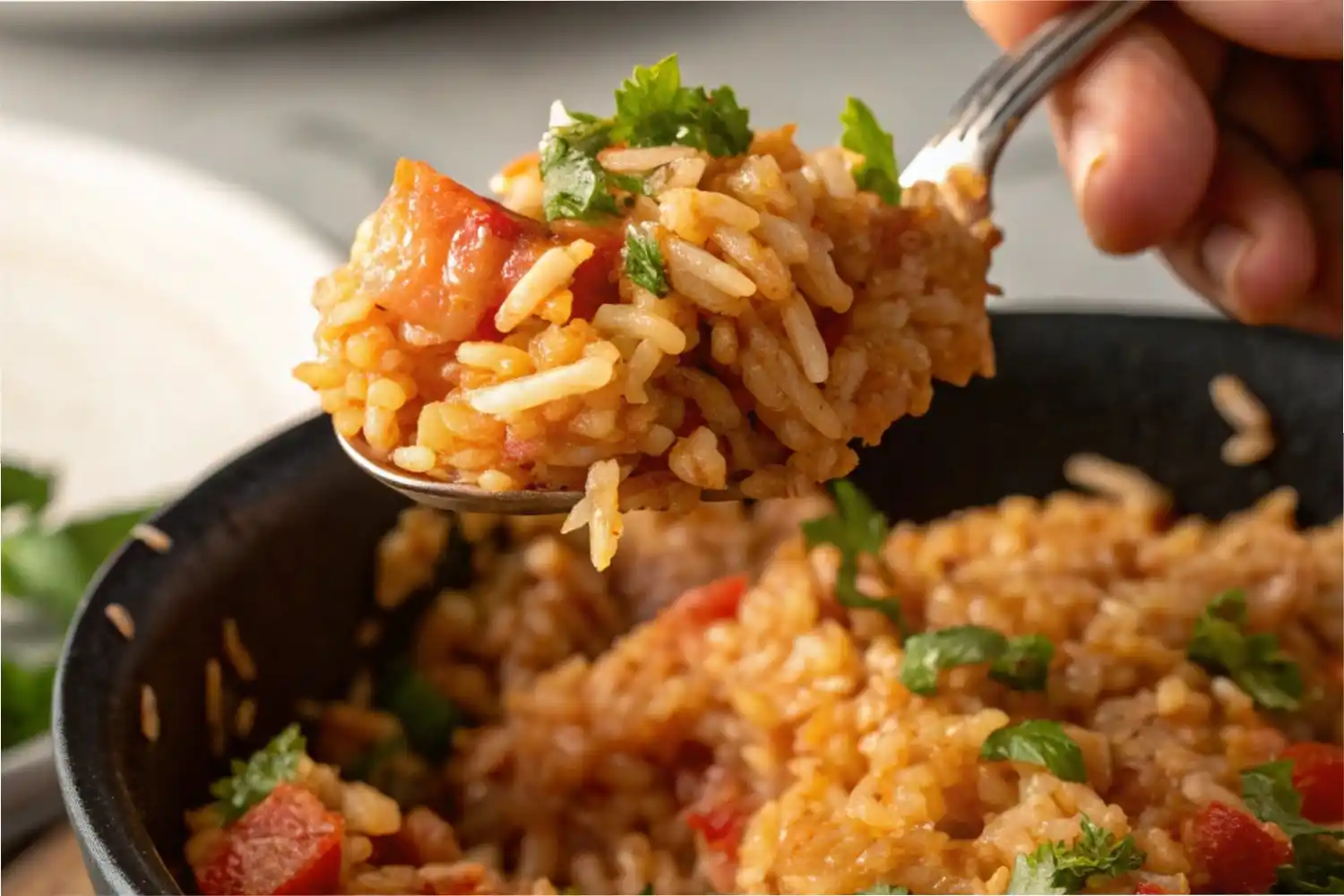 Close Up Of A Mexican Rice Recipe Dish